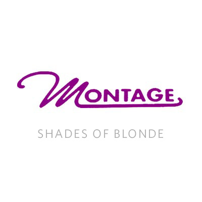 SMP-shades-of-blonde-logo