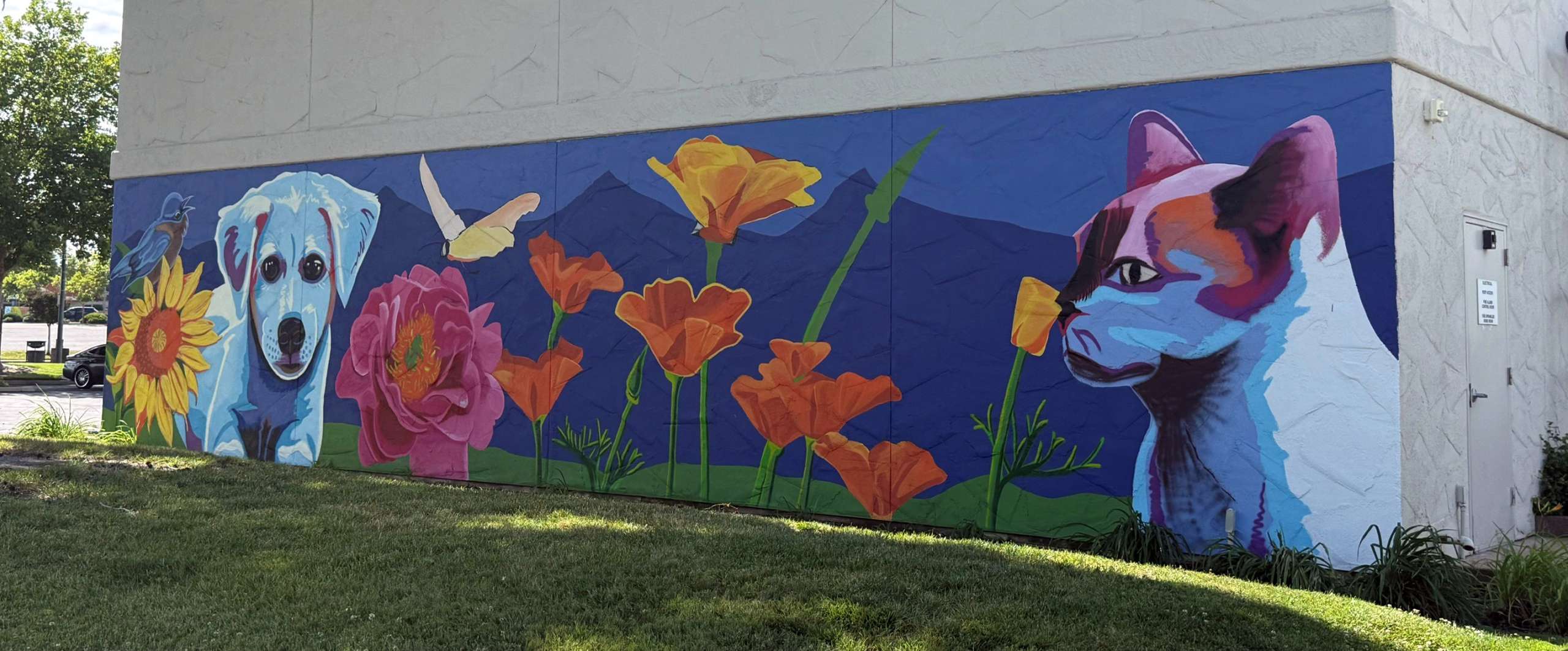 smp-mural-petfood-express
